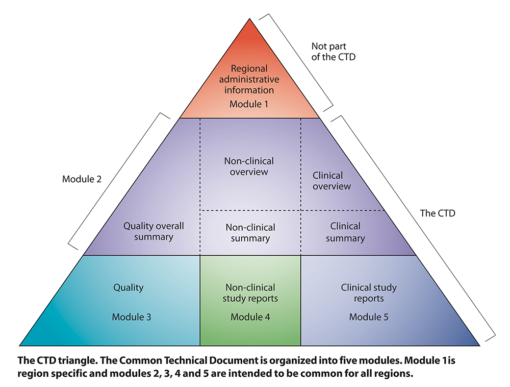 Non clinical. CTD. Common Technical document. CTD Формат. Triangle перевод.